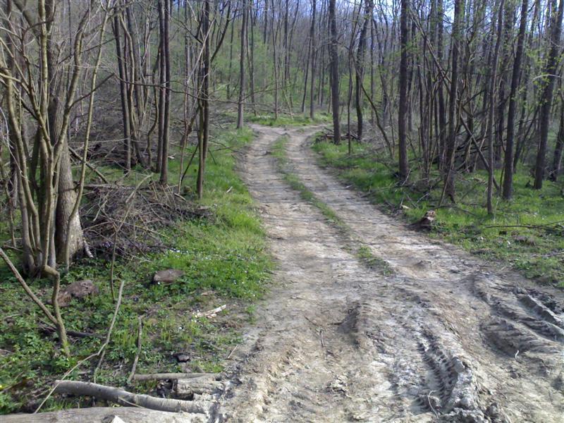 200704091752 .jpg